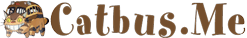 My CatBus Videos